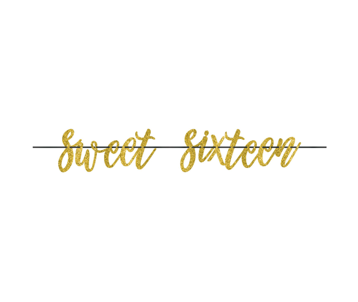 Blush Sweet Sixteen Banner