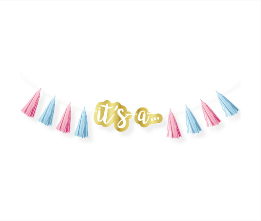 Gender Reveal Tassel Garland